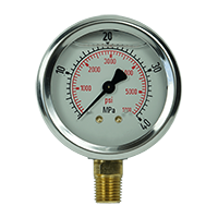 Pressure Gauge 10 Bar